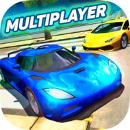 Multiplayer Driving Simulator (MOD, много денег)