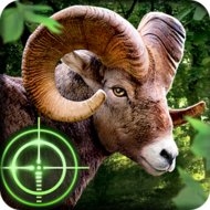 Wild Hunter 3D (MOD, much money)