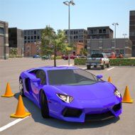 Driving School 3D Parking (MOD, unlimited money)