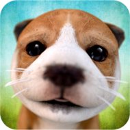 Dog Simulator (MOD, unlimited money)