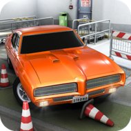 Parking Reloaded 3D mod apk